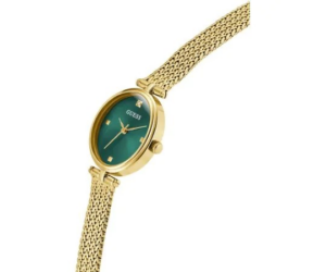 MONTRE GW0935L2
