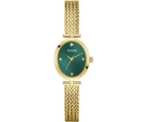 MONTRE GW0935L2