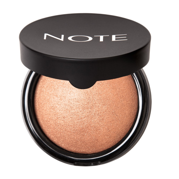 TERRACOTTA N 02 POWDER NOTE 10 G